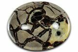 Eye-Eatching, Polished Septarian Bowl - Madagascar #350235-1